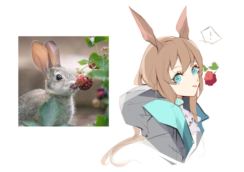 !, 1girl, absurdres, amiya_(arknights), animal_ears, arknights, ascot, black_coat