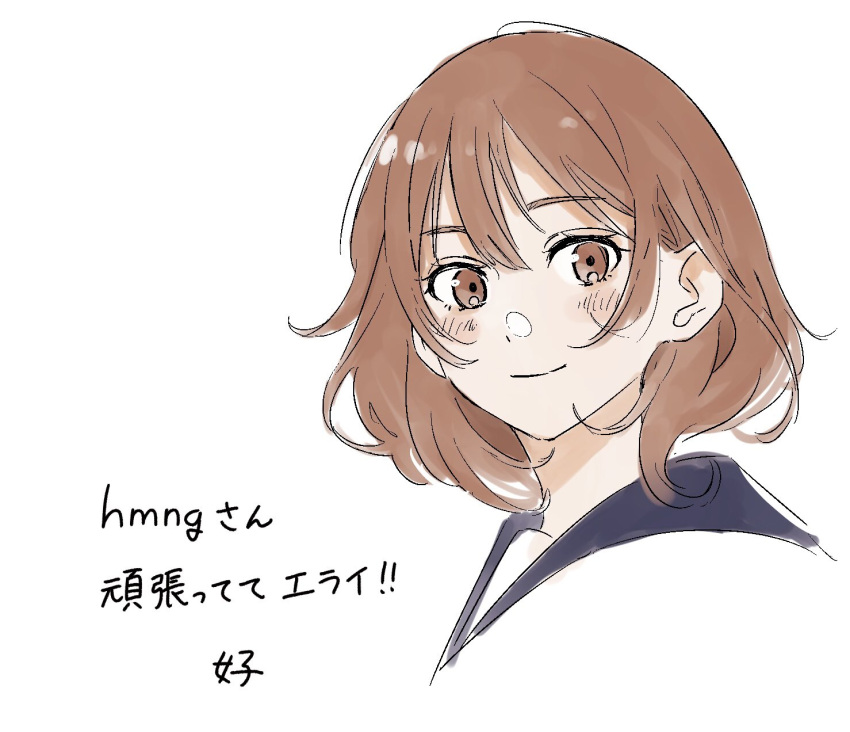 1girl, blush, brown_eyes, brown_hair, closed_mouth, eyebrows_visible_through_hair, face, hair_between_eyes