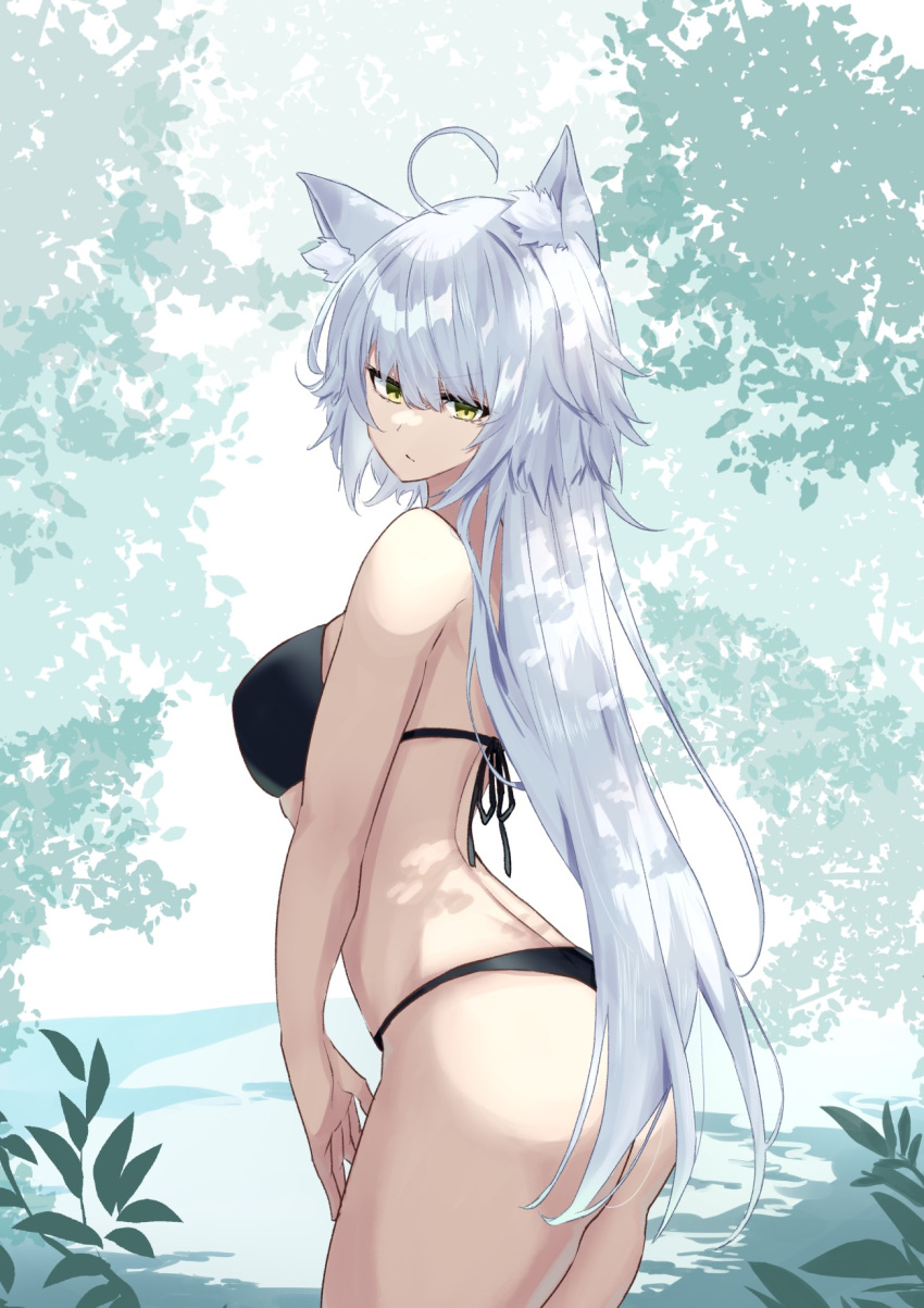 1girl, ahoge, alternate_costume, animal_ear_fluff, animal_ears, ass, back, bangs