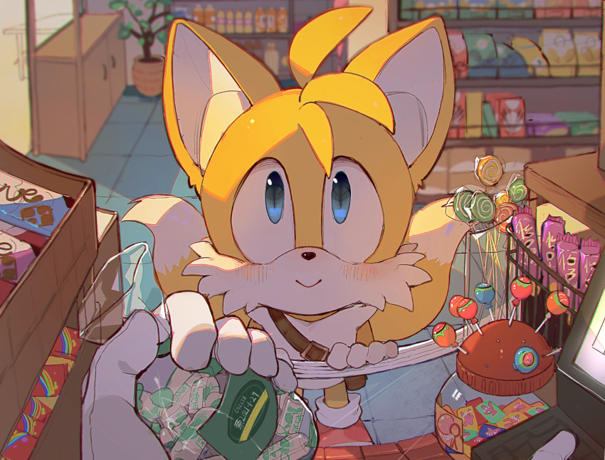 1boy, animal_ears, animal_nose, blue_eyes, blush, c52278, candy, candy_store, closed_mouth, dessert, food, fox_boy, fox_ears, fox_tail, furry, gloves, highres, looking_at_viewer, male_focus, multiple_tails, shop, smile, solo_focus, sonic_(series), standing, tail, tails_(sonic), two_tails, white_gloves