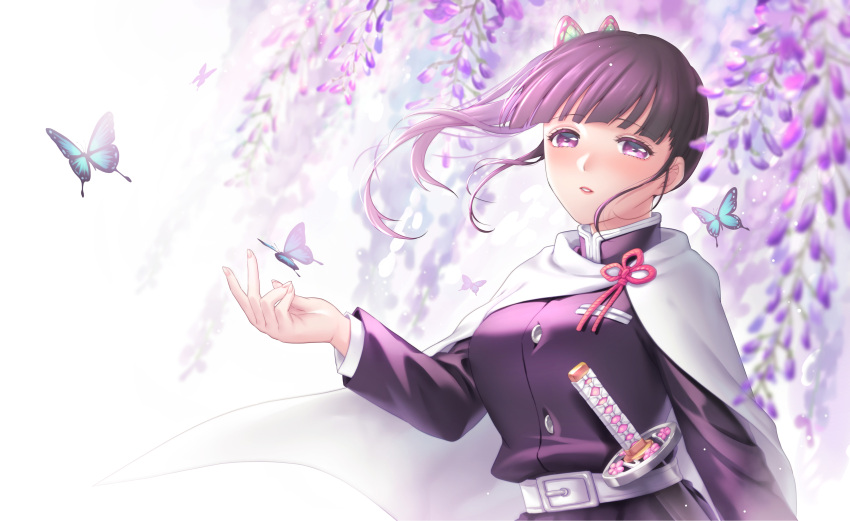 1girl, absurdres, bangs, belt, belt_buckle, blunt_bangs, buckle, bug