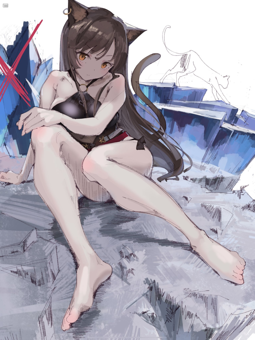 1girl, animal_ears, arknights, bangs, barefoot, bikini, bikini_under_clothes, black_bikini, blush, breasts, brown_hair, cat, cat_ears, cat_tail, closed_mouth, eyebrows_visible_through_hair, feet, highres, jewelry, large_breasts, long_hair, looking_at_viewer, ltotyht, o-ring, o-ring_swimsuit, orange_eyes, sitting, sketch, skyfire_(arknights), skyfire_(temperature_difference)_(arknights), swimsuit, tail