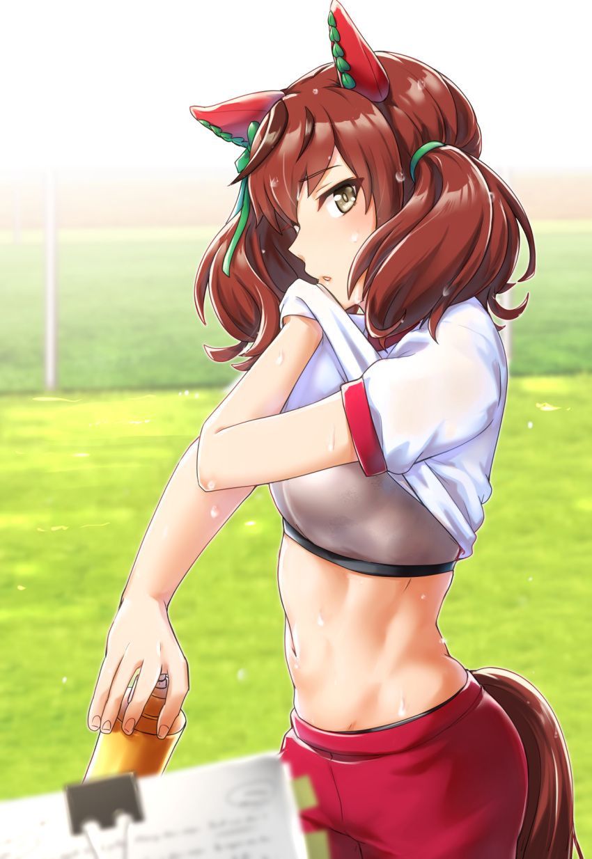 1girl, animal_ears, bangs, blurry, blurry_foreground, bottle, bow, breasts