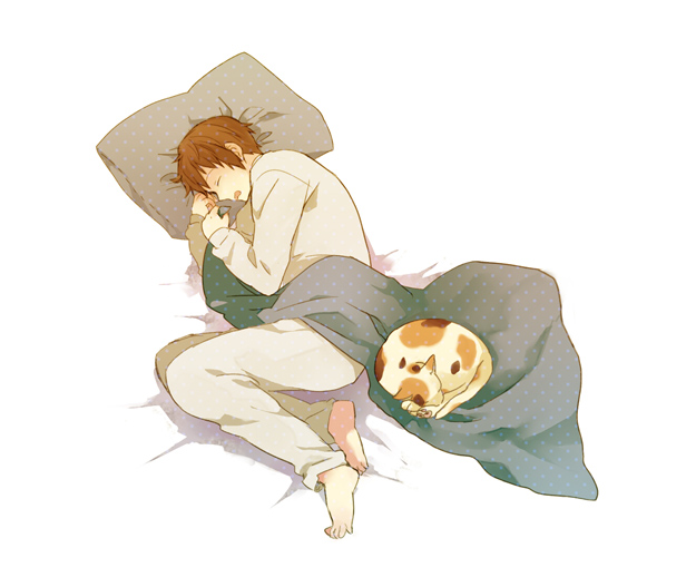 bed_sheet, brown_hair, cat, closed_eyes, feet, iwashi_(morpho000), kyon, male