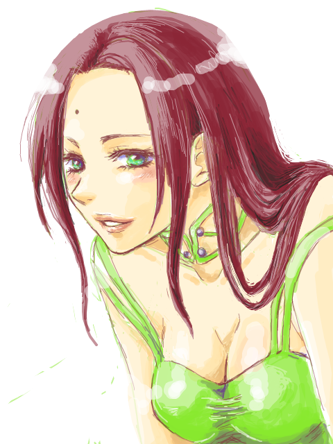 arc_the_lad, arc_the_lad_ii, blush, brown_hair, choker, cleavage, female, green_eyes, long_hair, sania, smile, solo