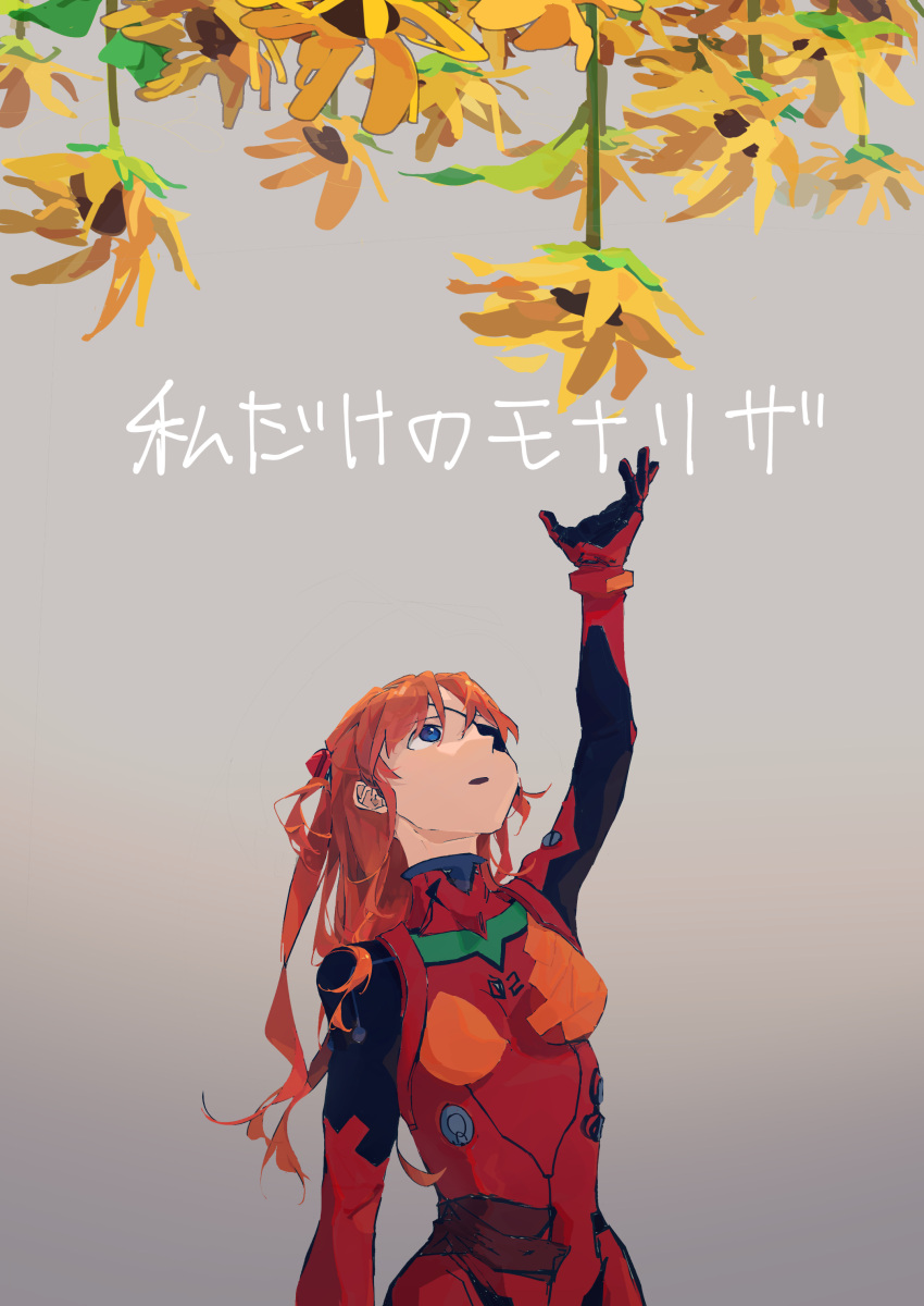 1girl, absurdres, arm_up, blue_eyes, bodysuit, breasts, chinese_commentary, commentary_request, eyepatch, flower, gloves, gradient, gradient_background, grey_background, highres, interface_headset, iwapd3, long_hair, looking_up, medium_breasts, neon_genesis_evangelion, one_eye_covered, orange_hair, parted_lips, reaching, rebuild_of_evangelion, red_bodysuit, red_gloves, skin_tight, solo, souryuu_asuka_langley, sunflower, translation_request, upper_body, upside-down