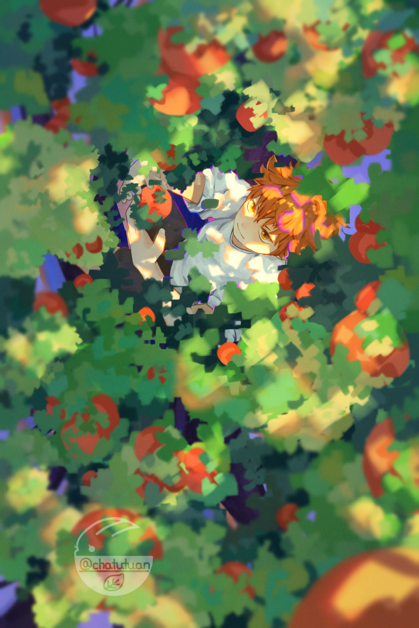 1boy, absurdres, blurry, chatutuan, food, from_above, fruit, haikyuu!!, hair_between_eyes, highres, hinata_shouyou, looking_away, male_focus, orange_(food), orange_eyes, orange_hair, outdoors, shaded_face, shirt, short_hair, solo, t-shirt, twitter_username