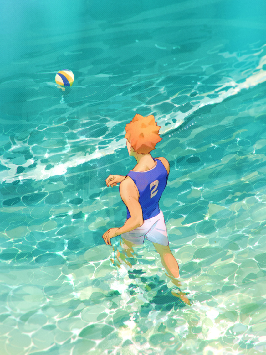 1boy, ball, from_above, from_behind, haikyuu!!, highres, hinata_shouyou, male_focus