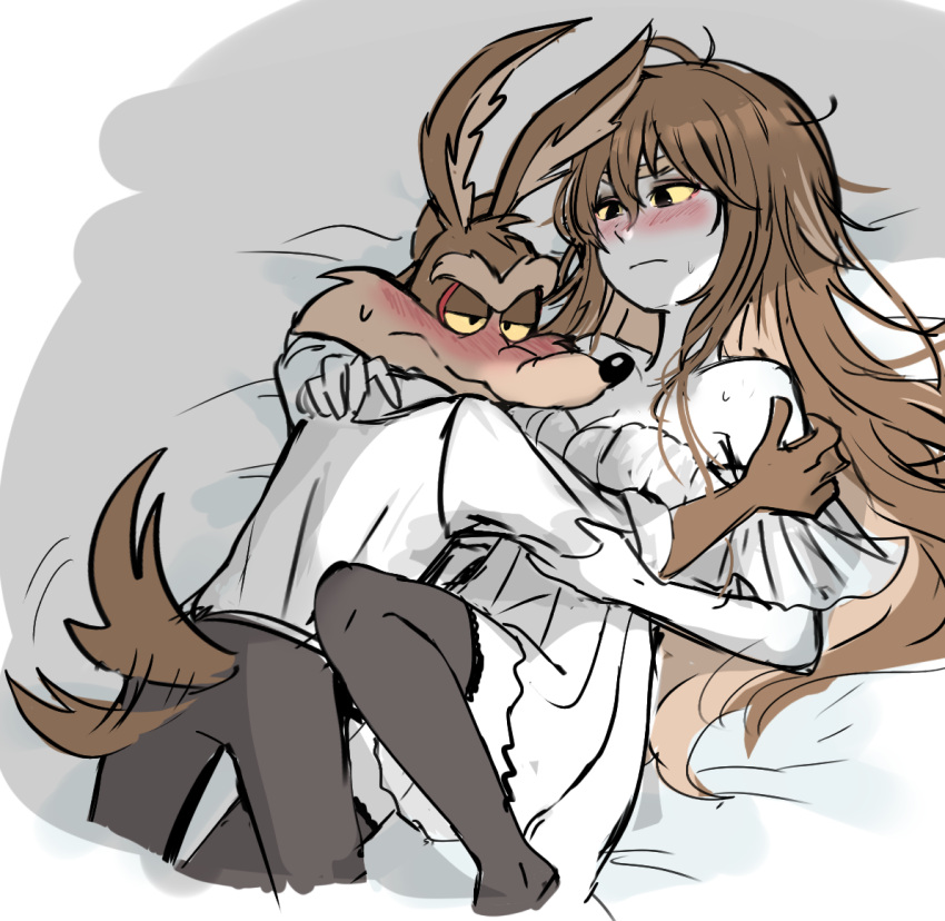1boy, 1girl, animal_ears, bed, bed_sheet, coyote, coyote_ears, coyote_tail