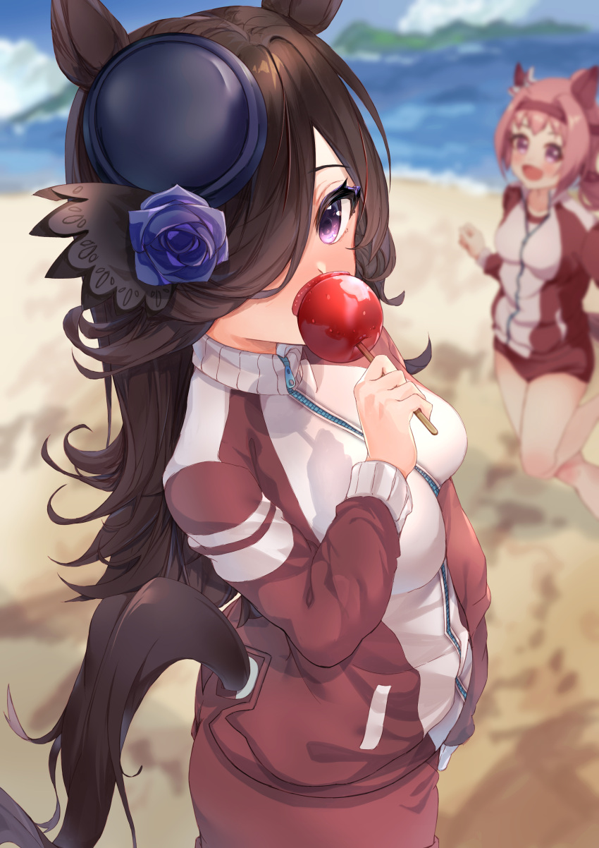 2girls, :d, aa_(16rrr16), absurdres, animal_ears, bangs, beach, blue_flower