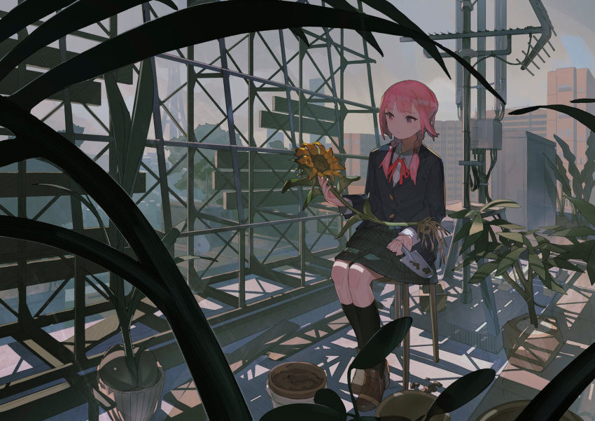 1girl, antenna_mast, aspara, blazer, braid, building, cityscape, expressionless, flower, flower_pot, full_body, highres, holding, holding_flower, jacket, kaf, kneehighs, loafers, low_twin_braids, medium_hair, multicolored, multicolored_eyes, neck_ribbon, outdoors, pink_hair, plaid, plaid_skirt, plant, potted_plant, red_ribbon, ribbon, rooftop, school_uniform, shoes, sitting, skirt, sky, solo, stool, sunflower, trowel, twin_braids, virtual_kaf, virtual_youtuber, yellow_pupils