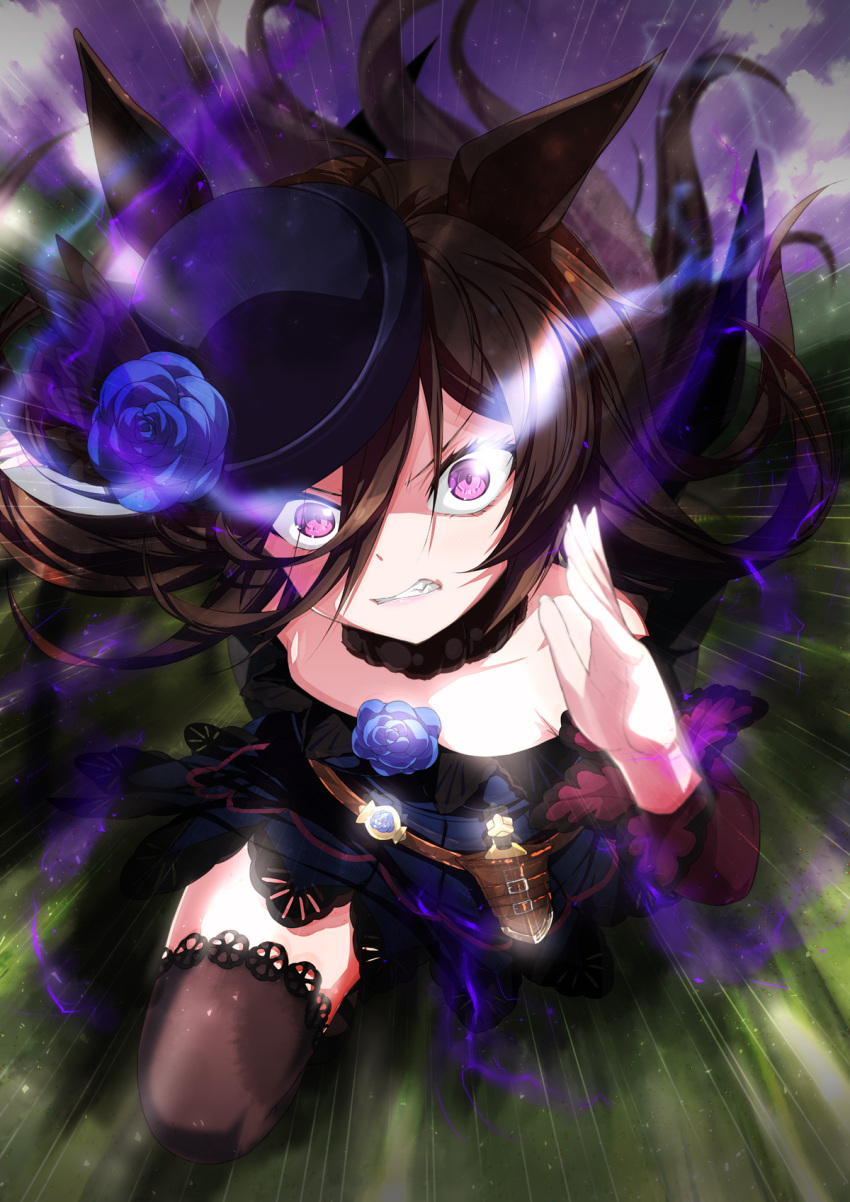 1girl, animal_ears, blue_dress, blue_flower, blue_headwear, blue_rose, bowler_hat, brown_hair