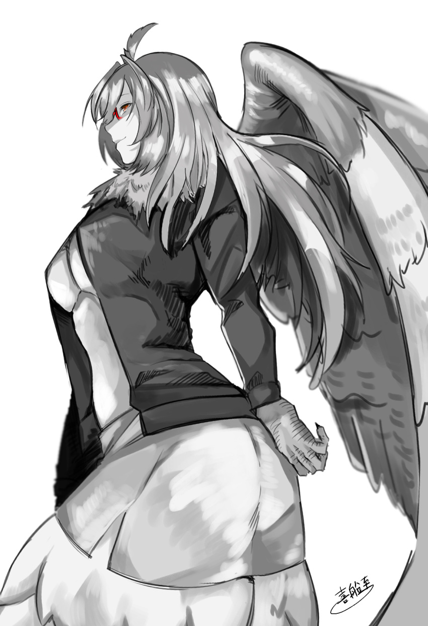 animal_hands, artist_name, breasts, commentary_request, feathered_wings, feathers, harpy, highres, jacket, kidomh63, long_hair, medium_breasts, monochrome, monster_girl, neck_ruff, orange_eyes, rectangular_eyewear, red-framed_eyewear, semi-rimless_eyewear, side_slit, sideways_glance, simple_background, skirt, spot_color, tokyo_houkago_summoners, white_background, wings, ziz_(tokyo_houkago_summoners)