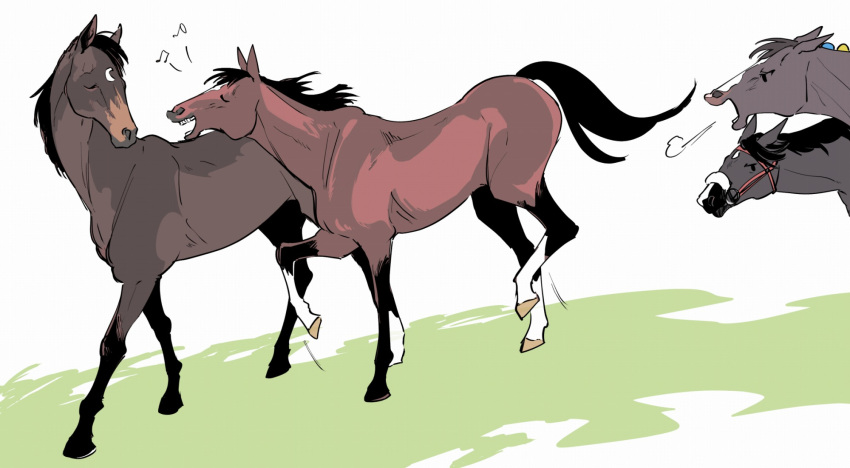 4others, air_groove_(racehorse), bridle, highres, horse, multiple_others, narita_brian_(racehorse), no_humans, real_life, symboli_rudolf_(racehorse), takatsuki_nato, tokai_teio_(racehorse), visible_air