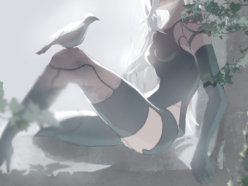 1girl, android, backlighting, bare_shoulders, bird, bird_on_leg, black_gloves, black_legwear