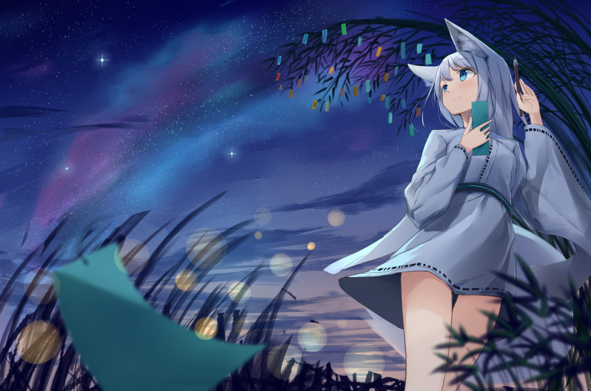 1girl, absurdres, akinakesu-chan, animal_ear_fluff, animal_ears, bangs, blue_eyes, closed_mouth