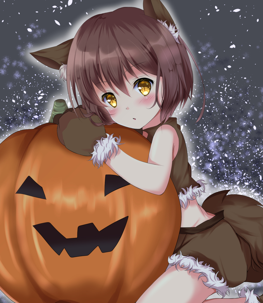 1girl, :o, animal_ear_fluff, animal_ears, black_shorts, blush, brown_gloves, brown_hair