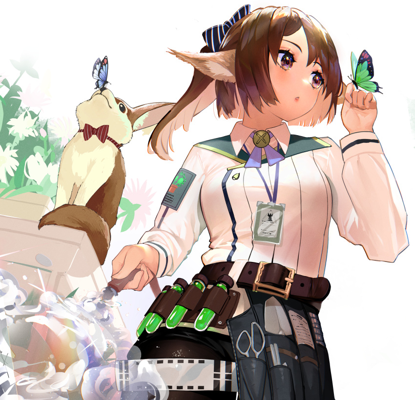 024th, 1girl, absurdres, animal, animal_ears, arknights, bangs, belt