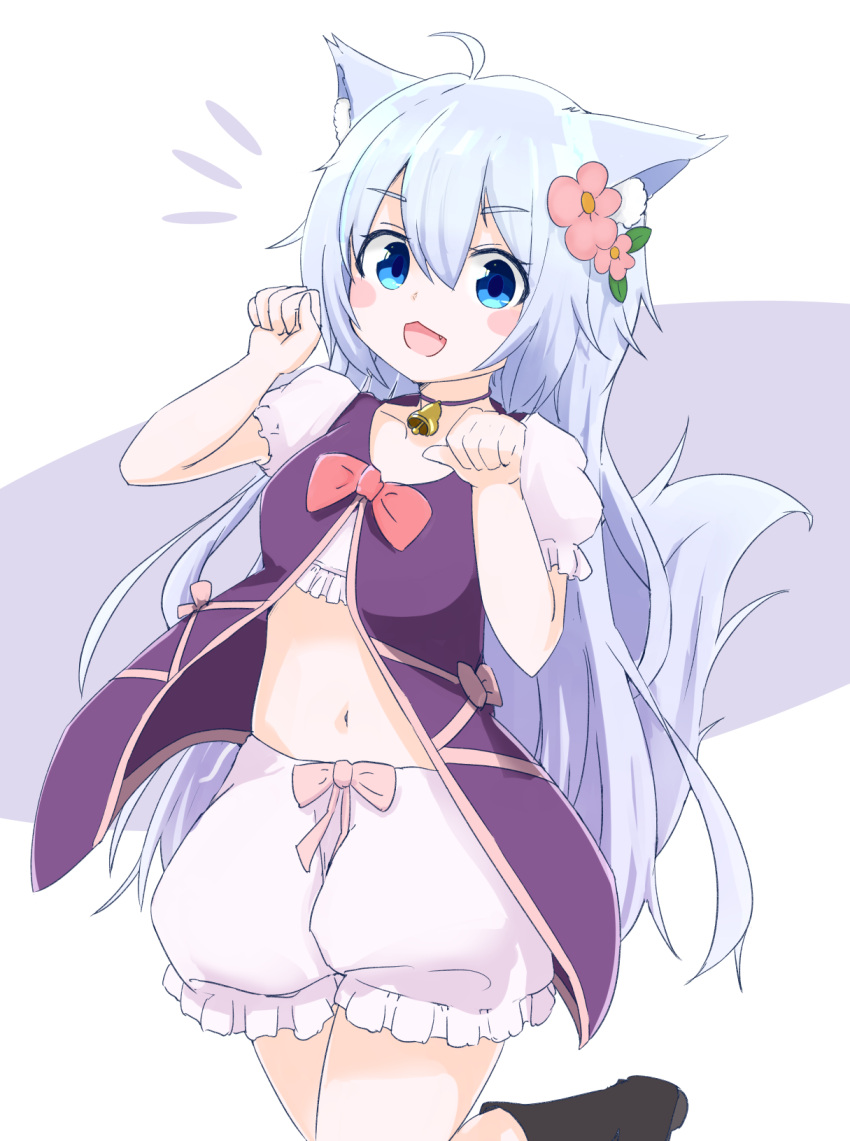 1girl, animal_ear_fluff, animal_ears, black_footwear, bloomers, blue_eyes, blush_stickers, boots, cheat_kushushi_no_slow_life, eyebrows_visible_through_hair, fang, flower, fox_ears, fox_girl, fox_tail, hair_flower, hair_ornament, highres, leg_up, long_hair, mirai_yuki_(user_wmgu4472), navel, noela_(cheat_kushushi_no_slow_life), open_clothes, open_mouth, open_shirt, paw_pose, purple_shirt, shirt, silver_hair, smile, solo, standing, standing_on_one_leg, tail, underwear, white_bloomers