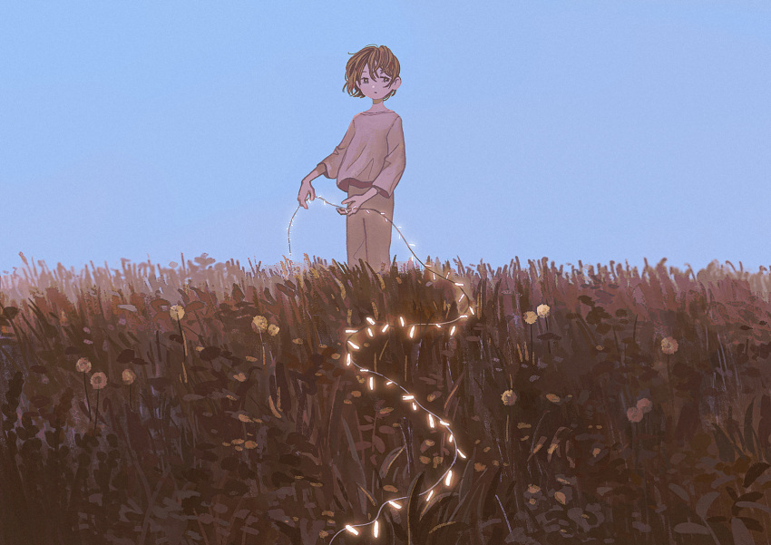 1girl, blue_sky, brown_hair, flower, grass, highres, holding, long_sleeves