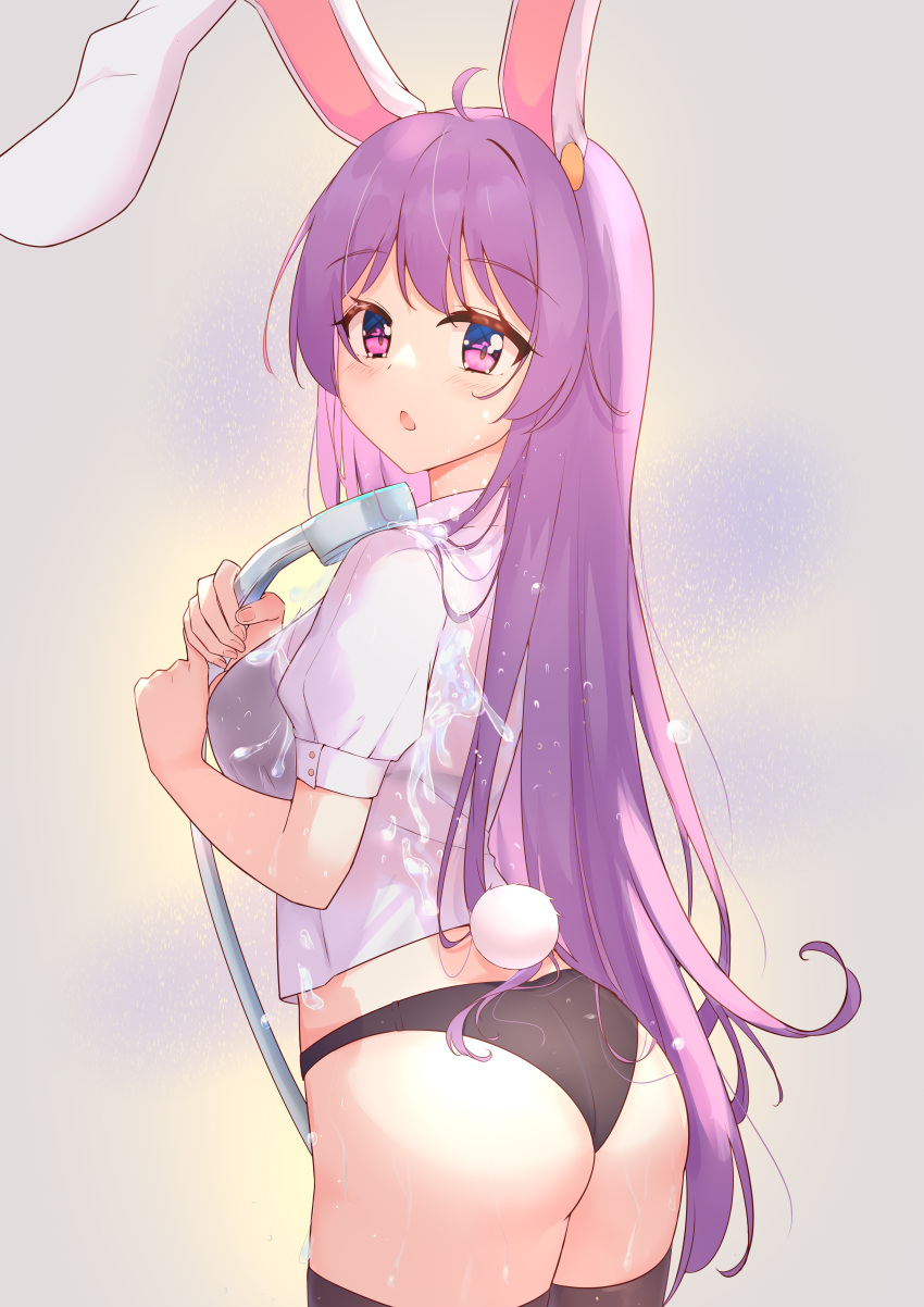 1girl, :o, absurdres, ahoge, animal_ears, ass, black_bra, black_legwear