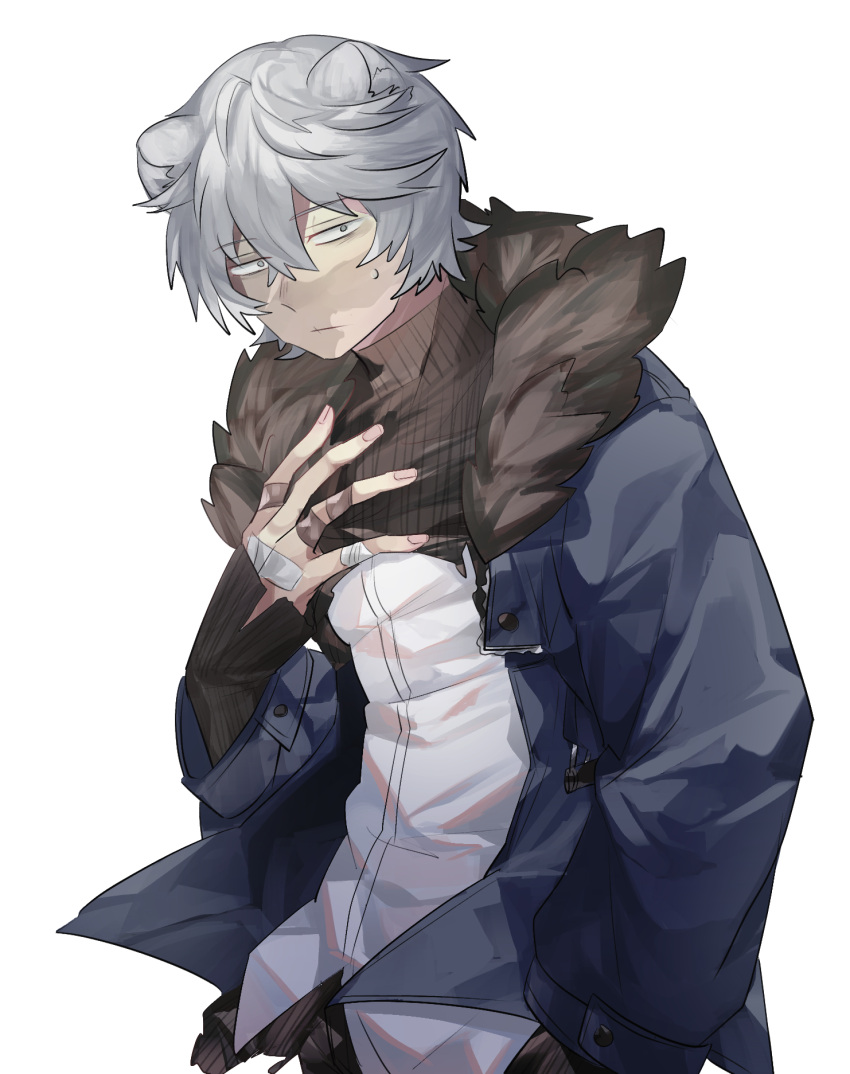 1boy, animal_ears, arknights, bandaid, bandaid_on_hand, bear_ears, blue_jacket, closed_mouth