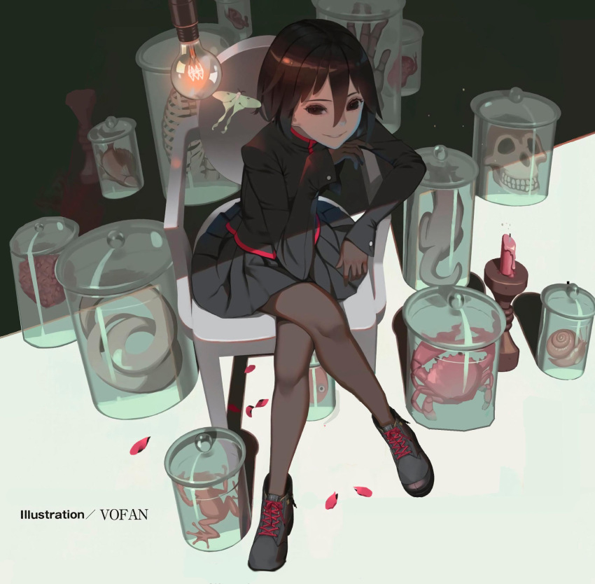 absurdres, adapted_uniform, animal_skull, artist_name, bangs, black_background, black_eyes, black_footwear, black_gloves, black_hair, black_jacket, black_legwear, black_skirt, bob_cut, bone, brain, bug, butterfly, candle, candlestand, cat, crab, crossed_legs, disembodied_limb, empty_eyes, fish, frog, gakuran, gloves, hair_between_eyes, hand_on_own_chin, high_contrast, high_tops, highres, insect, jacket, jar, kidney, light_bulb, looking_at_viewer, looking_up, monogatari_(series), official_art, on_chair, organs, oshino_ougi, pantyhose, pleated_skirt, ribs, school_uniform, shaded_face, shadow, shoes, short_hair, sitting, skirt, skull, smile, snake, swallowtail_butterfly, vofan, white_background