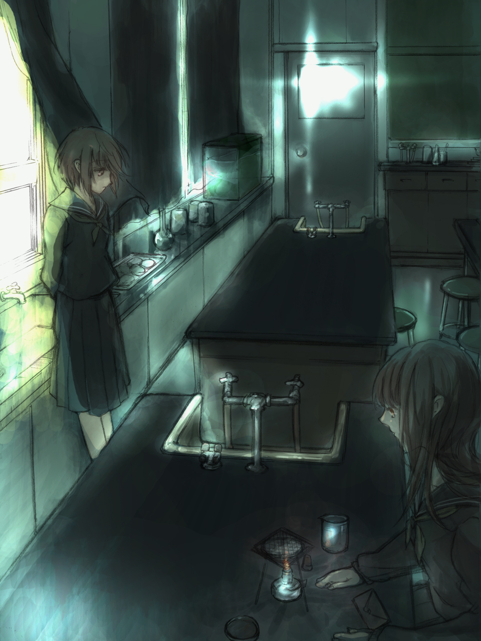 beaker, brown_hair, bunsen_burner, curtains, dark, door, envelope, fish_tank