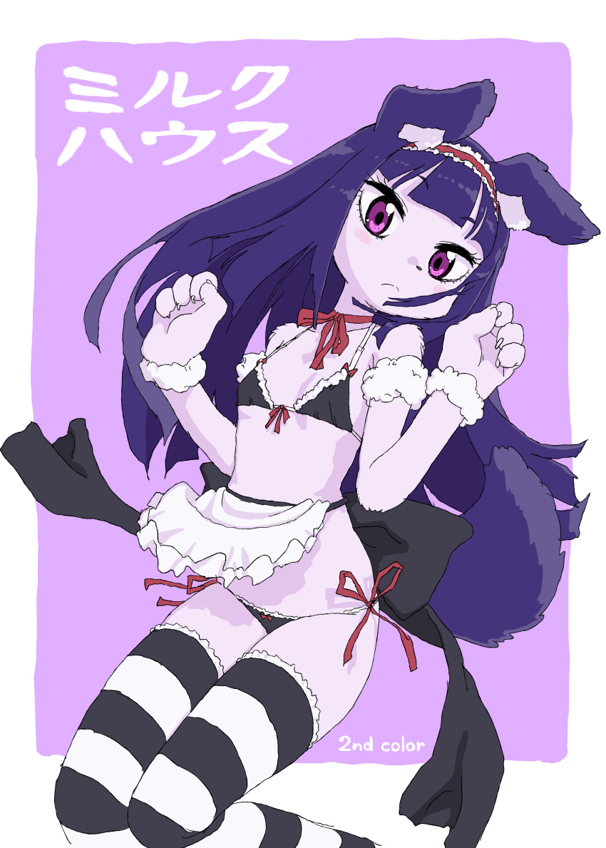 1girl, absurdres, animal_ears, animal_hands, apron, bikini, black_bikini, black_legwear, blue_hair, border, breasts, closed_mouth, colored_skin, dog_ears, dog_tail, furry, hands_up, highres, long_hair, looking_at_viewer, maid_bikini, original, paws, pink_background, pink_eyes, purple_skin, purple_theme, side-tie_bikini, small_breasts, solo, striped, striped_legwear, swimsuit, tail, thigh-highs, typehatena, waist_apron, white_apron, white_border, wristband