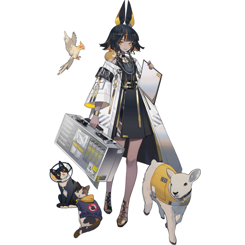 1girl, animal, animal_ears, animal_on_shoulder, bird, bird_request, black_dress, black_hair