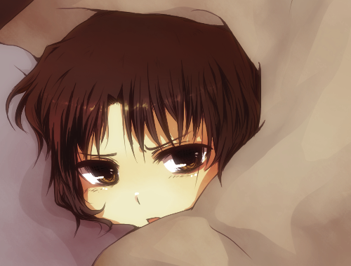 black_hair, blanket, brown_eyes, brown_hair, kara_no_kyoukai, lowres, ryougi_shiki, shirotsume_kusa