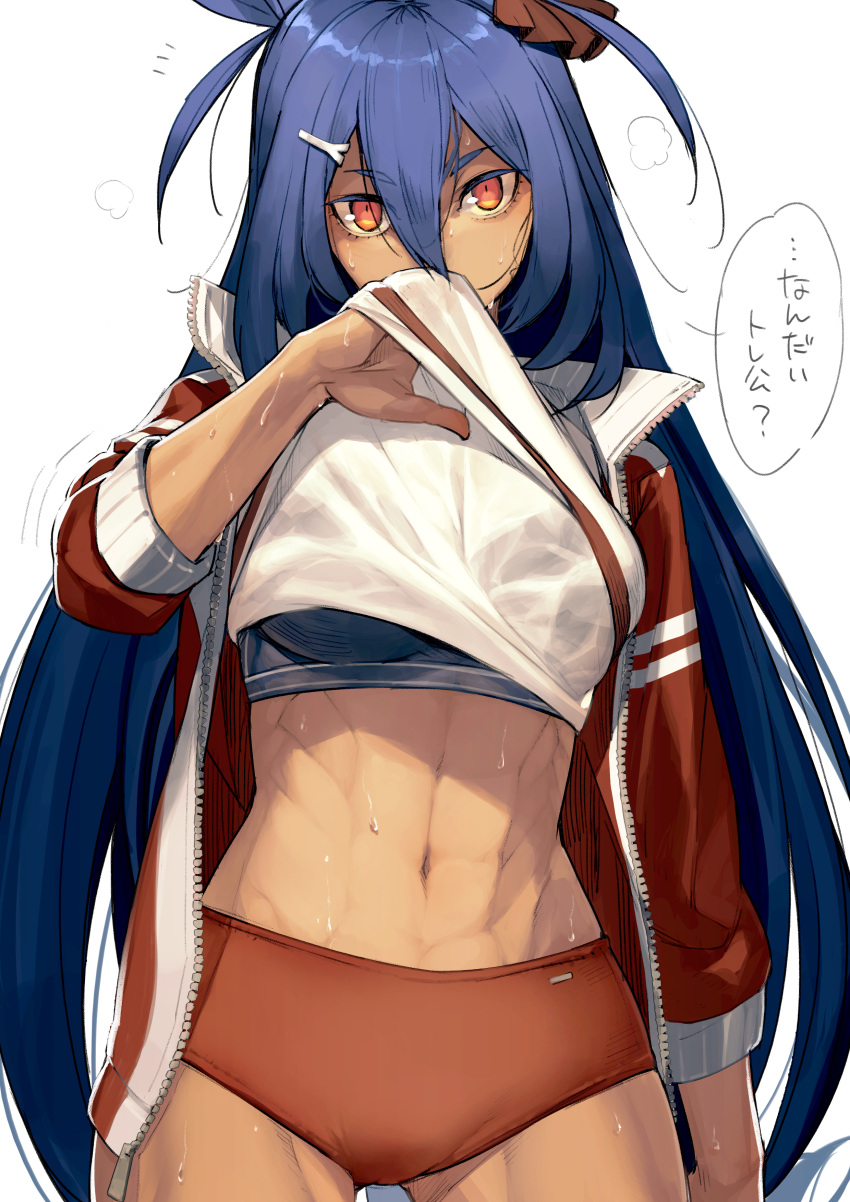 1girl, abs, absurdres, animal_ears, blue_hair, buruma, clothes_lift, cowboy_shot