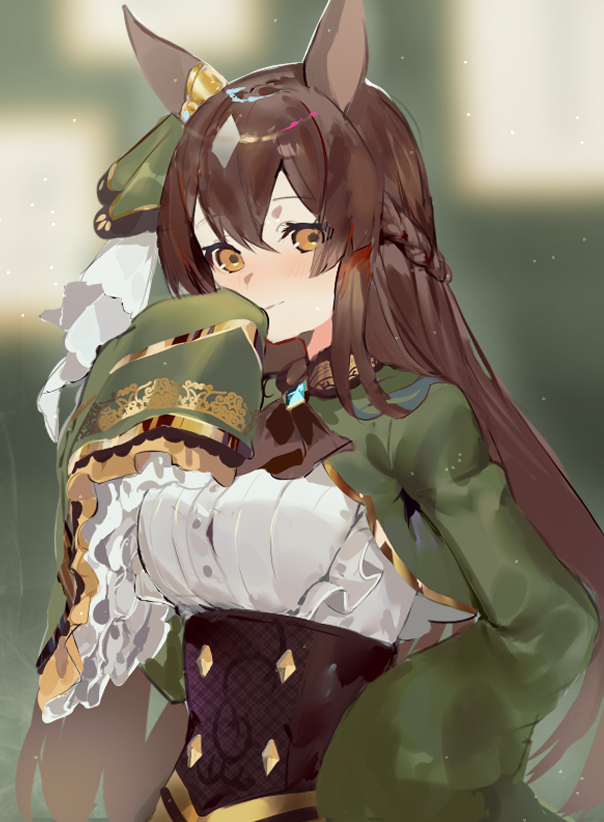1girl, animal_ears, ascot, black_neckwear, blush, braid, brown_eyes, brown_hair