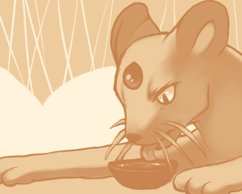 nintendo, orange, persian, pokemon, purple_kecleon, tea, tongue