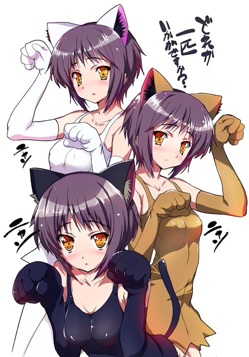 animal_ears, cat_ears, cat_pose, cat_tail, dress, elbow_gloves, gloves, grey_hair