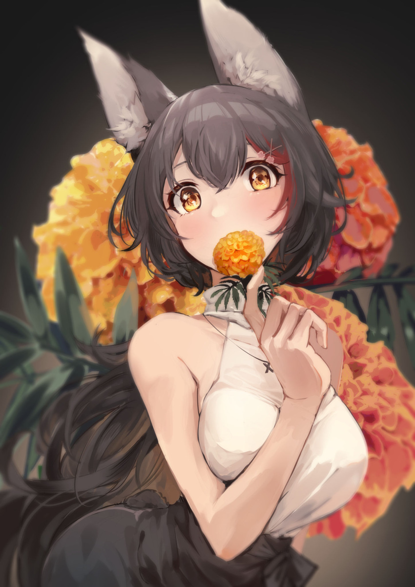 1girl, animal_ear_fluff, animal_ears, black_hair, flower, hair_between_eyes, hair_ornament, hairclip, high-waist_skirt, highres, hololive, jewelry, long_hair, looking_at_viewer, mochiyuki_(gigfor1), multicolored_hair, necklace, ookami_mio, ponytail, redhead, shirt, skirt, sleeveless, sleeveless_shirt, solo, streaked_hair, very_long_hair, virtual_youtuber, wolf_ears, wolf_girl, yellow_eyes