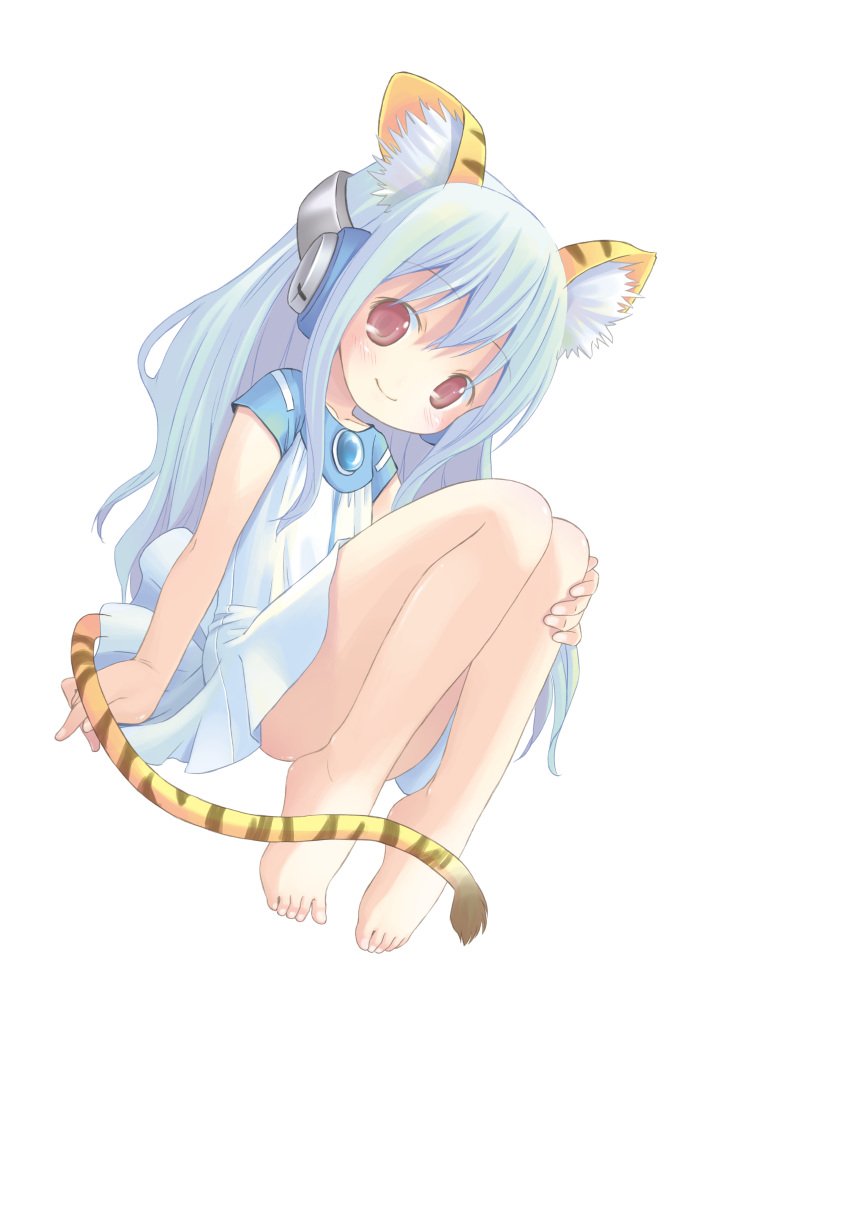 1girl, absurdres, animal_ear_fluff, animal_ears, barefoot, blue_hair, brown_eyes, convenient_leg