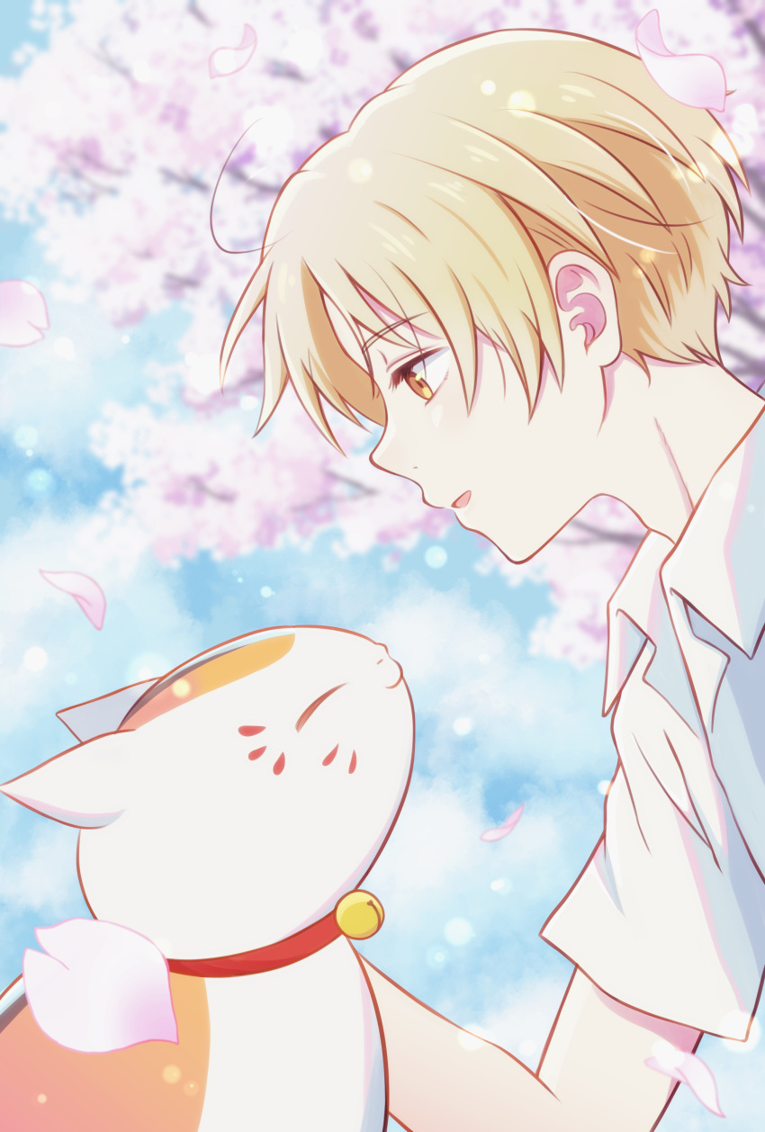 1boy, absurdres, animal_collar, blonde_hair, blurry, blurry_background, cherry_blossoms, collar, day, highres, looking_at_animal, mesyoko, natsume_takashi, natsume_yuujinchou, outdoors, petals, petting, shirt, upper_body, white_shirt, yellow_eyes