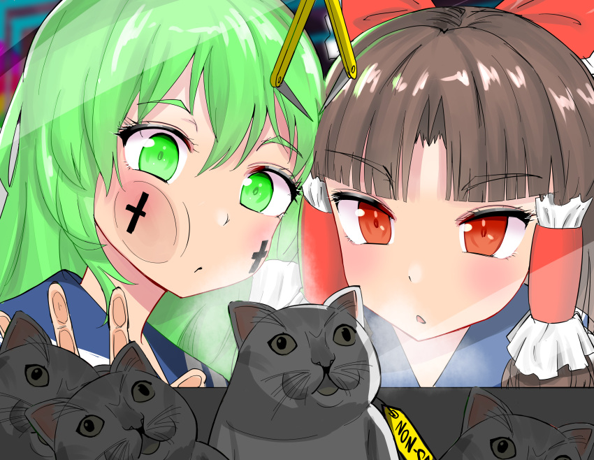 2girls, absurdres, against_glass, bangs, benikurage_(cookie), bow, brown_hair, cat