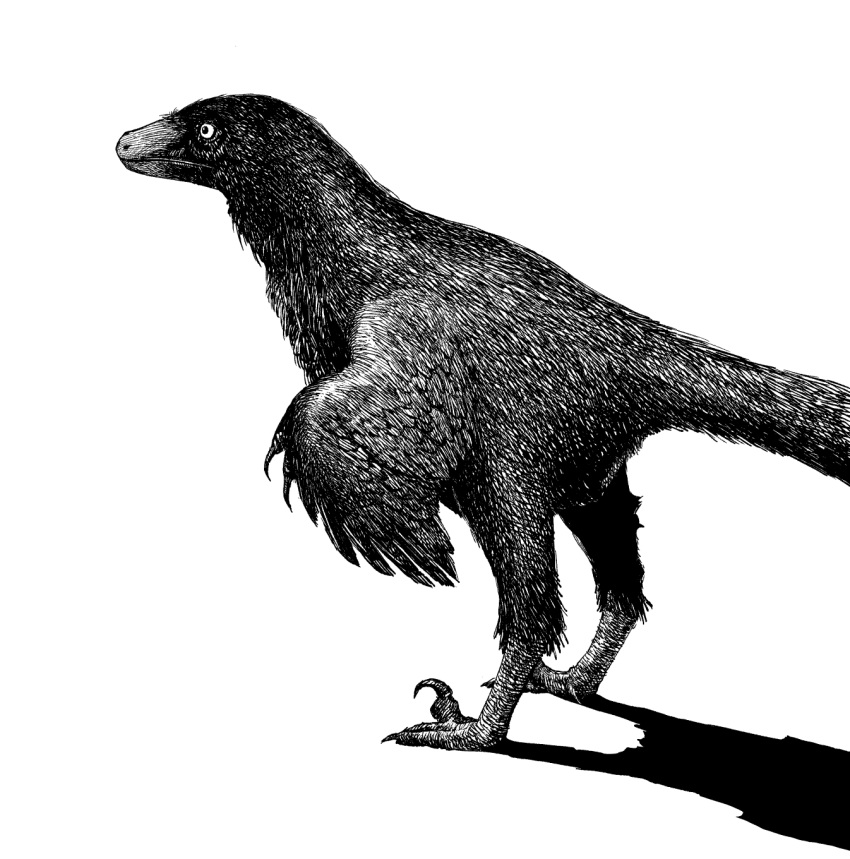 animal_focus, archaeopteryx, commentary, dinosaur, english_commentary, from_side, greyscale, highres, monochrome, no_humans, original, simple_background, white_background, y_naf