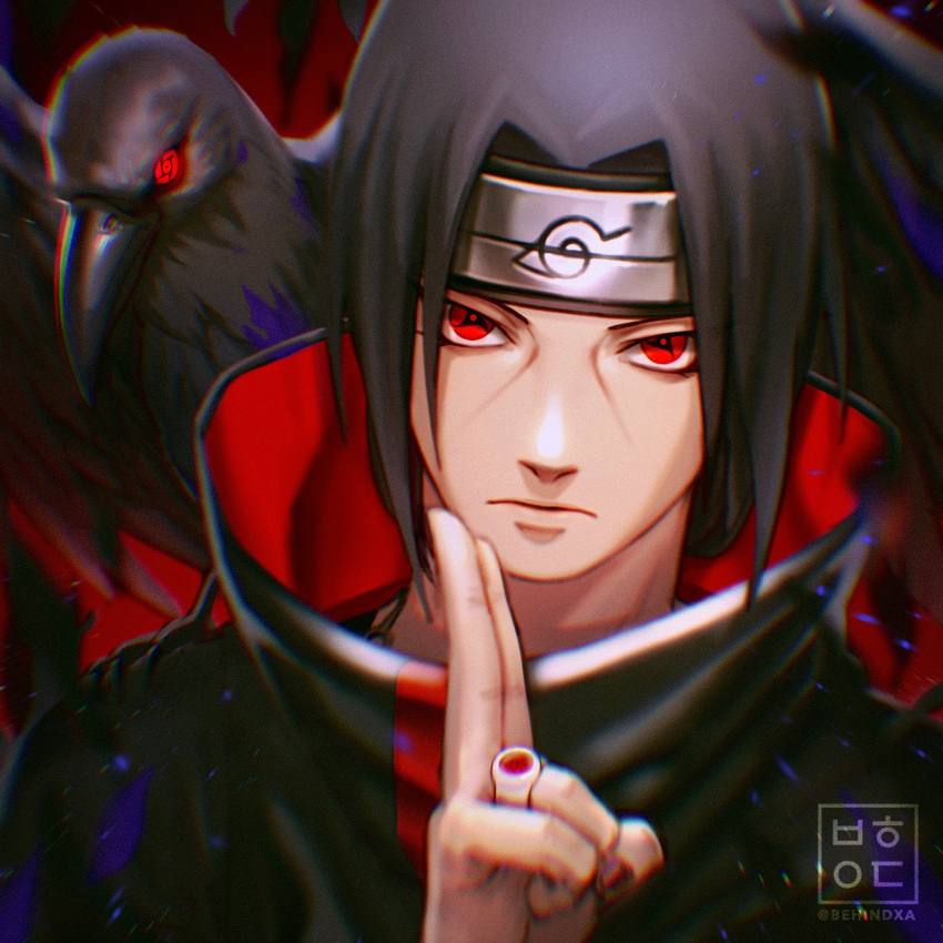 1boy, akatsuki_(naruto), akatsuki_uniform, artist_name, behindxa, bird, black_hair, closed_mouth