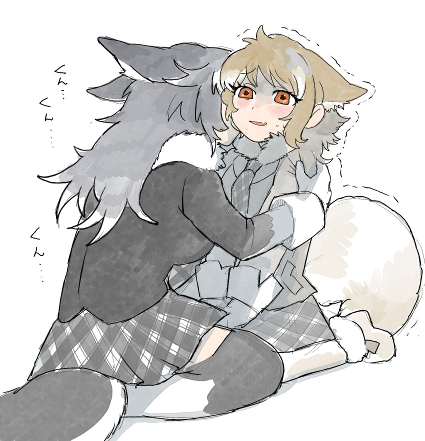 2girls, animal_ears, black_hair, blush, brown_hair, closed_mouth, commentary_request, ears_down, extra_ears, eyebrows_visible_through_hair, eyelashes, fang, full_body, fur_collar, furrowed_brow, gloves, grabbing, grey_wolf_(kemono_friends), hand_on_another's_shoulder, highres, igarashi_(nogiheta), italian_wolf_(kemono_friends), jacket, kemono_friends, leaning_forward, long_hair, long_sleeves, miniskirt, multicolored_hair, multiple_girls, necktie, nervous_smile, orange_eyes, parted_lips, plaid, plaid_neckwear, plaid_skirt, scared, seiza, sidelocks, sitting, skirt, smile, sweat, tail, thigh-highs, trembling, turn_pale, two-tone_hair, v_arms, white_hair, wolf_ears, wolf_girl, wolf_tail, zettai_ryouiki