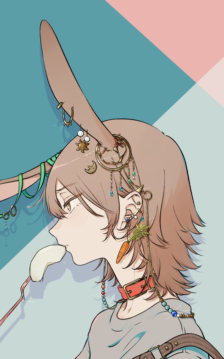 1boy, absurdres, animal_ears, blue_menouu, brown_eyes, brown_hair, carrot_earrings, collar
