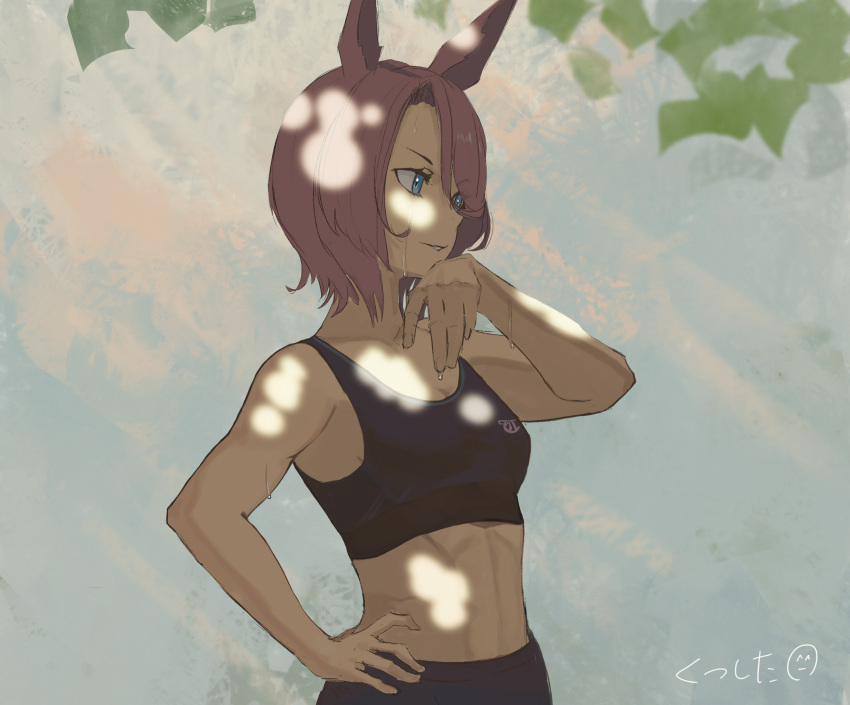 1girl, animal_ears, bare_arms, black_sports_bra, blue_eyes, character_request, commentary, dappled_sunlight