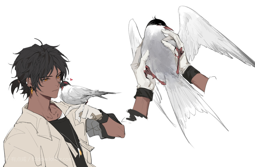 1boy, animal, animalization, arctic_tern, arknights, bird, black_hair, black_shirt