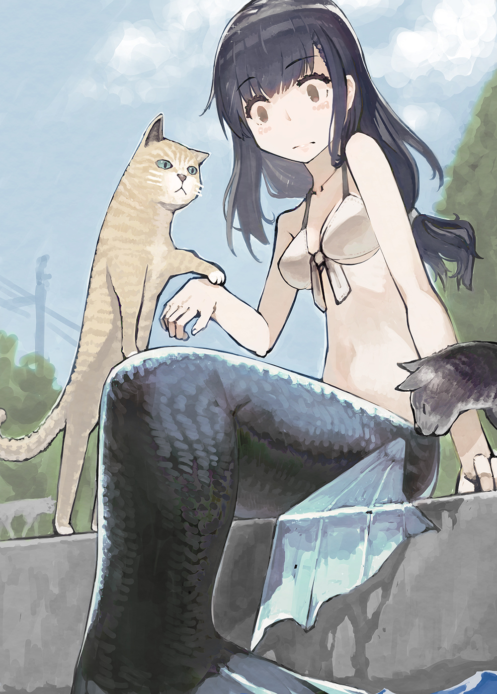 1girl, bikini, bikini_top, black_hair, cat, eyebrows_visible_through_hair, fins, highres, long_hair, mermaid, monster_girl, original, pawing, sitting, swimsuit, tefec