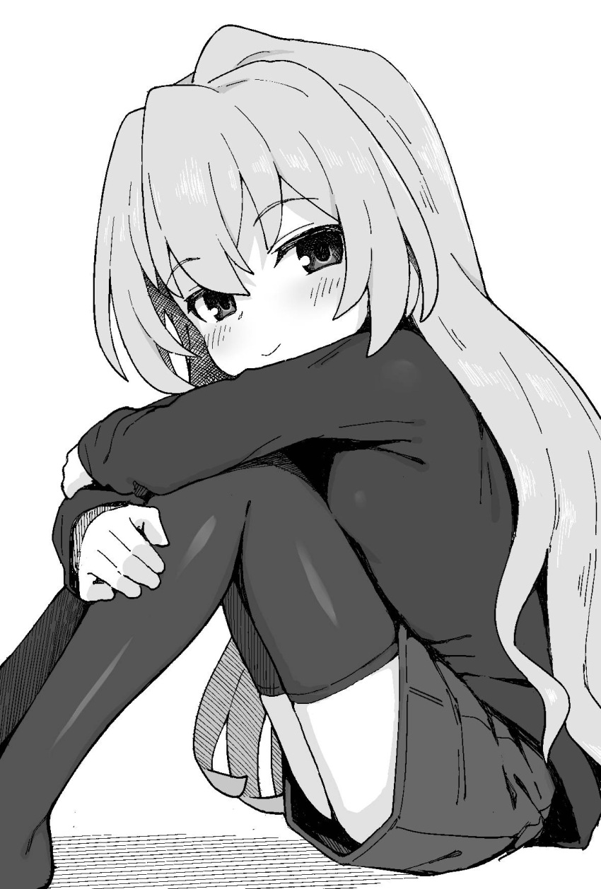 1girl, aisaka_taiga, blush, closed_mouth, feet_out_of_frame, from_side, greyscale, highres