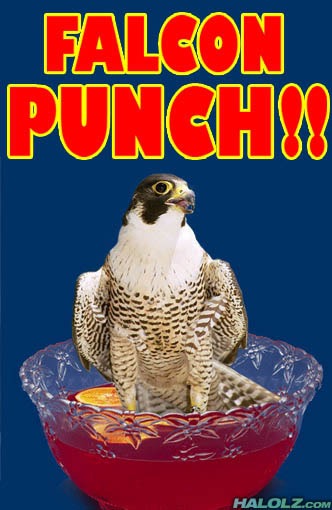 f-zero, falcon, falcon_punch, literal_sense_of_the_word, meme, punch, what
