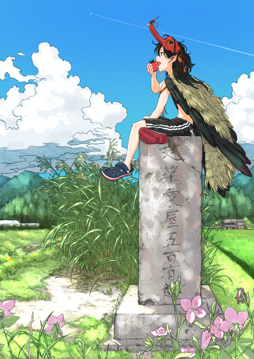 absurdres, artist_name, black_hair, black_shorts, black_wings, blue_sky, bug, clouds