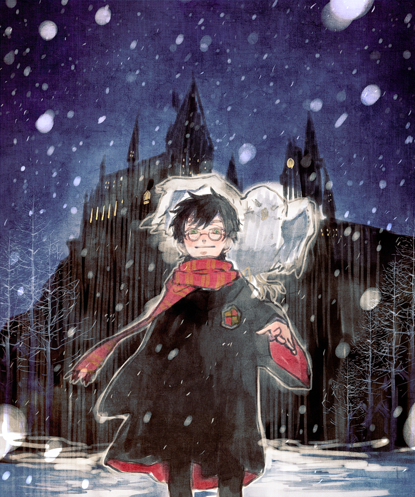 1boy, bird, black_hair, black_robe, childlock, glasses, green_eyes, gryffindor